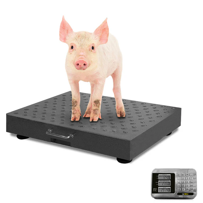 BASCULA INALAMBRICA DE PLATAFORMA 300 KG
